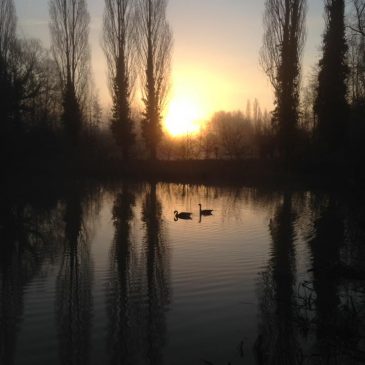 ochtend zazen