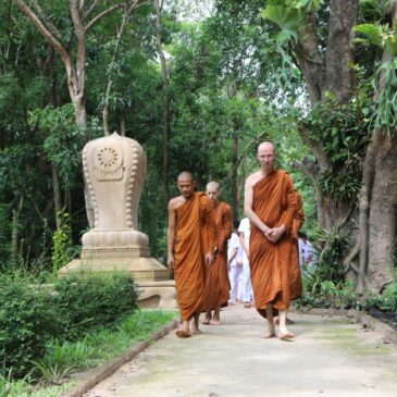 Reisverslag Wat Pah Nanachat – The International Forest Monastery